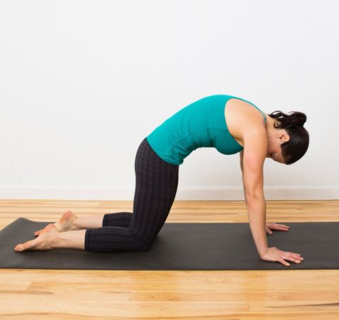 Woman doing cat yoga pose on yoga mat.